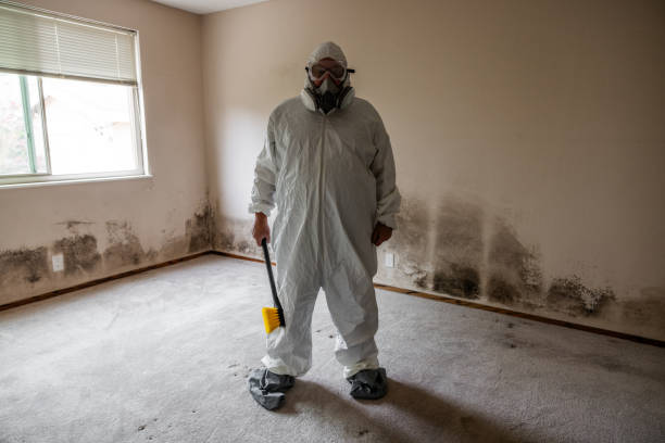 Best Mold Odor Removal Services  in Lemmon, SD